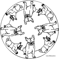 Bulldoggen Mandala