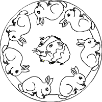 Kaninchen-Meerscheinchen-Mandala