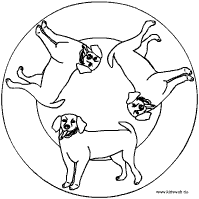 Labrador Mandala
