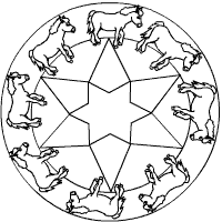 Pferdestern-Mandala