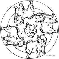 Wolfsspitz-Mandala
