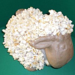 Popcornlamm