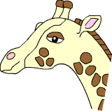 Giraffen-Quiz