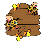 Honigbienen-Quiz