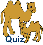 Kamel-Quiz