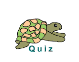 Schildkröten-Quiz