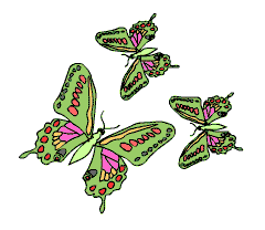 Schmetterlings-Sachtext