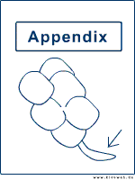 Appendix Deckblatt