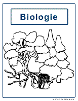 Bio-Bäume