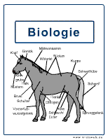 Biologie Pferde Deckblatt