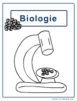 Biologie Mikroskopieren