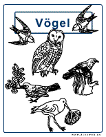 Vogel-Deckblatt