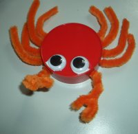 Deckelchen-Krabbe