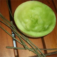 Melone mit Zweiggitter