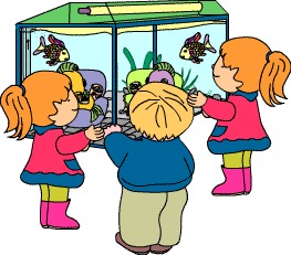 Aquarium in Schule und Kindergarten