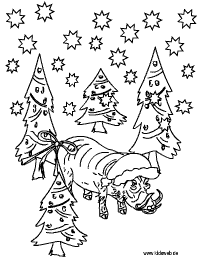 Warzenschwein-Weihnachten
